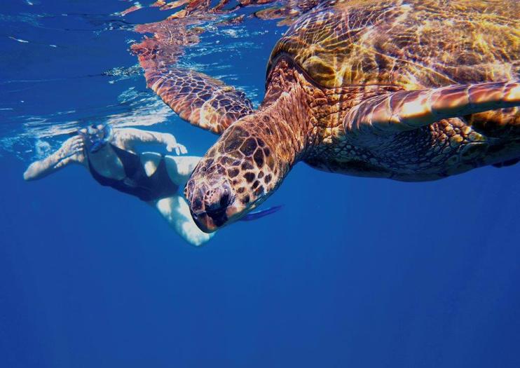 How to Spend Spring Break on Kauai